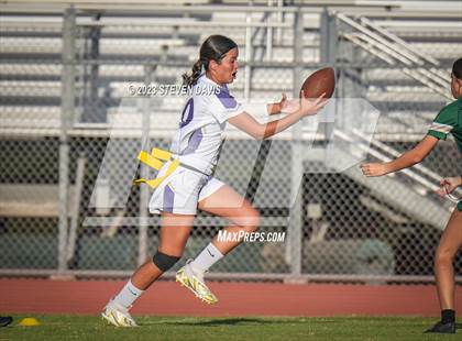 Thumbnail 3 in Queen Creek @ Basha photogallery.