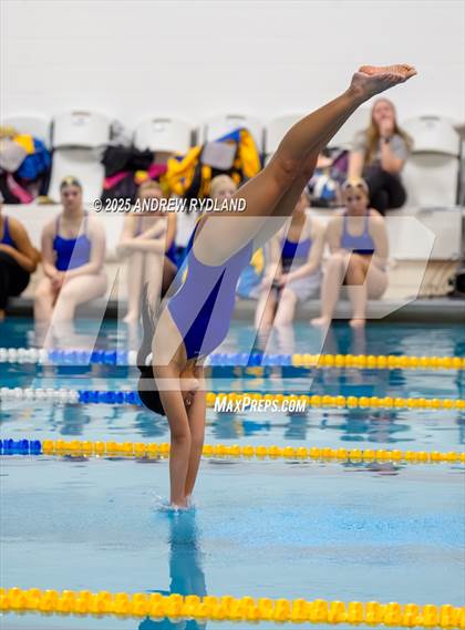 Thumbnail 2 in Discovery Canyon @ Rampart photogallery.