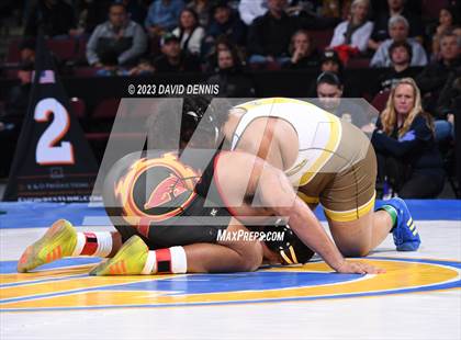 Thumbnail 1 in CIF State Boys Wrestling Championships (182-120 Finals) photogallery.