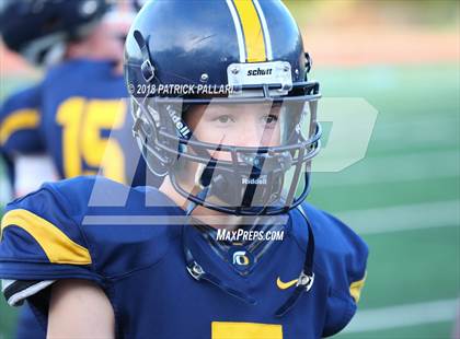 Thumbnail 1 in Elk Grove @ Oak Ridge photogallery.