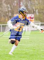 Photo from the gallery "Pine Bush @ Kingston"