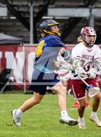 Photo from the gallery "Pine Bush @ Kingston"