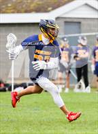 Photo from the gallery "Pine Bush @ Kingston"