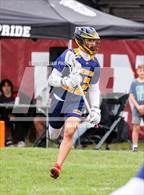 Photo from the gallery "Pine Bush @ Kingston"