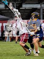 Photo from the gallery "Pine Bush @ Kingston"