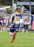 Photo from the gallery "Pine Bush @ Kingston"