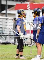Photo from the gallery "Pine Bush @ Kingston"