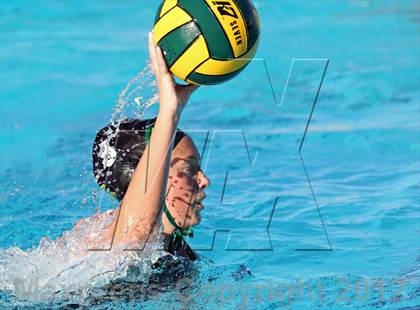 Thumbnail 2 in Mira Loma @ Rio Americano photogallery.