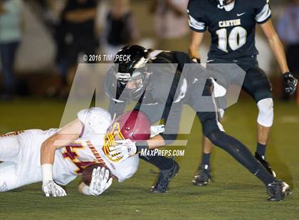 Thumbnail 1 in Canyon @ El Modena photogallery.