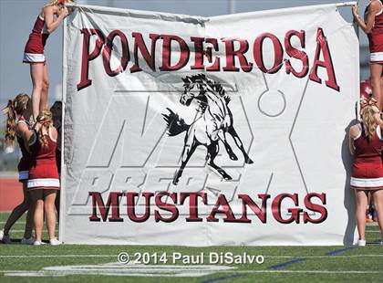 Thumbnail 1 in Pueblo Centennial @ Ponderosa photogallery.