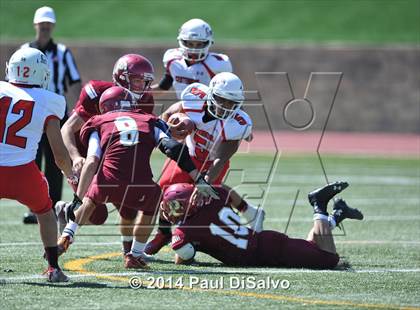 Thumbnail 3 in Pueblo Centennial @ Ponderosa photogallery.