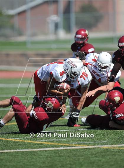 Thumbnail 1 in Pueblo Centennial @ Ponderosa photogallery.