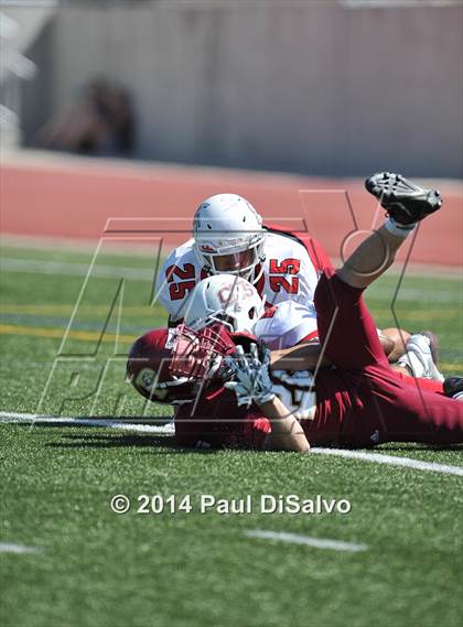 Thumbnail 1 in Pueblo Centennial @ Ponderosa photogallery.