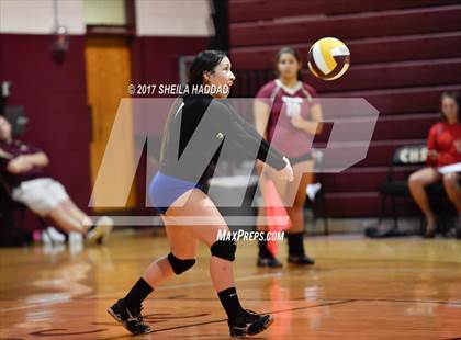 Thumbnail 3 in Largo vs Pinellas Park photogallery.