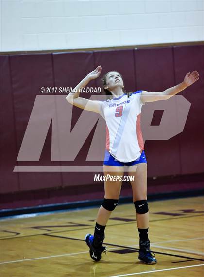 Thumbnail 3 in Largo vs Pinellas Park photogallery.