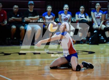 Thumbnail 1 in Largo vs Pinellas Park photogallery.