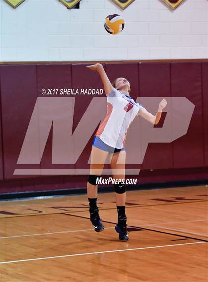 Thumbnail 1 in Largo vs Pinellas Park photogallery.