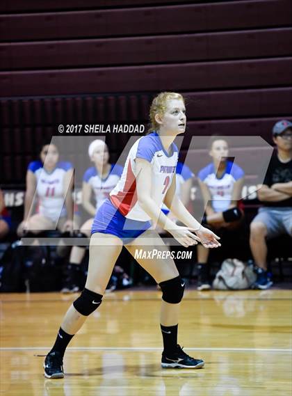 Thumbnail 1 in Largo vs Pinellas Park photogallery.