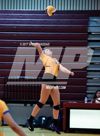 Thumbnail 2 in Largo vs Pinellas Park photogallery.