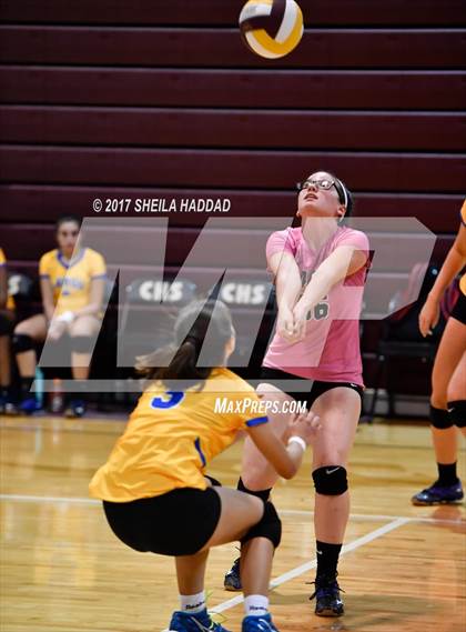 Thumbnail 1 in Largo vs Pinellas Park photogallery.