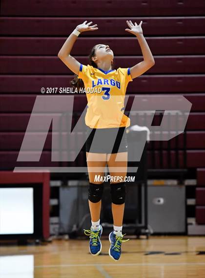 Thumbnail 1 in Largo vs Pinellas Park photogallery.
