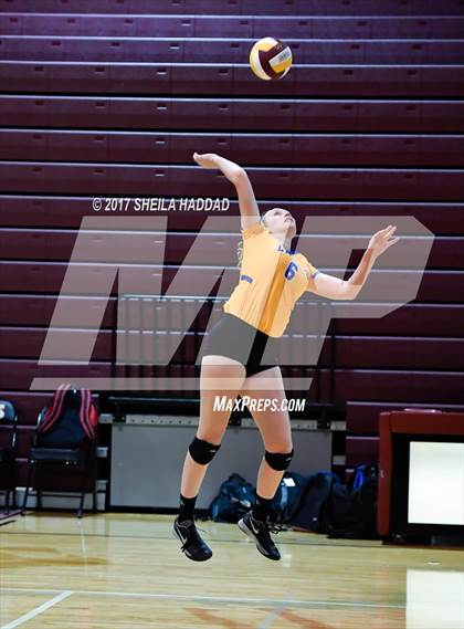 Thumbnail 1 in Largo vs Pinellas Park photogallery.