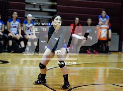 Thumbnail 3 in Largo vs Pinellas Park photogallery.