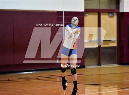 Thumbnail 1 in Largo vs Pinellas Park photogallery.