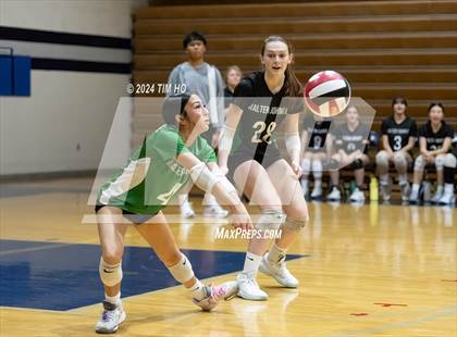 Thumbnail 1 in Walter Johnson @ Magruder photogallery.