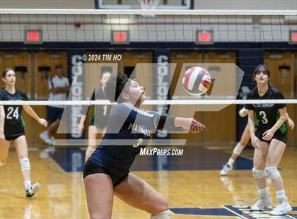 Thumbnail 1 in Walter Johnson @ Magruder photogallery.