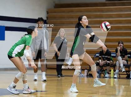 Thumbnail 2 in Walter Johnson @ Magruder photogallery.