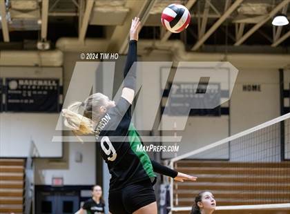 Thumbnail 3 in Walter Johnson @ Magruder photogallery.