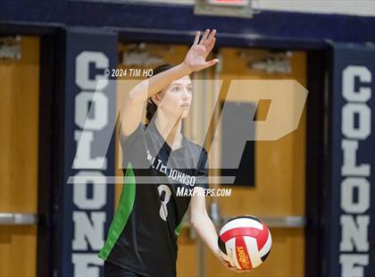 Thumbnail 3 in Walter Johnson @ Magruder photogallery.