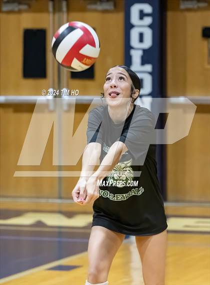 Thumbnail 3 in Walter Johnson @ Magruder photogallery.