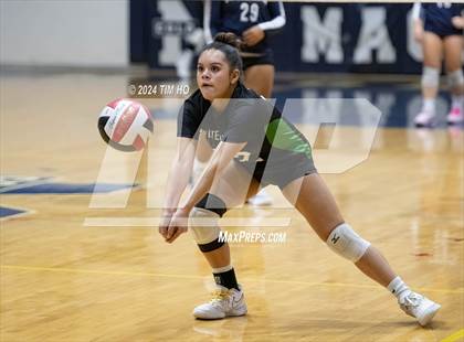 Thumbnail 3 in Walter Johnson @ Magruder photogallery.