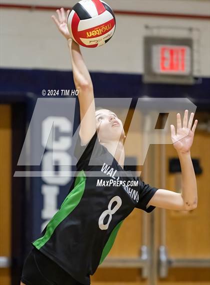 Thumbnail 2 in Walter Johnson @ Magruder photogallery.