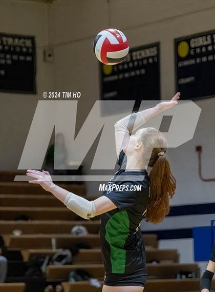Thumbnail 3 in Walter Johnson @ Magruder photogallery.