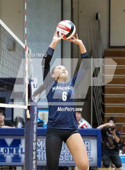 Thumbnail 3 in Walter Johnson @ Magruder photogallery.