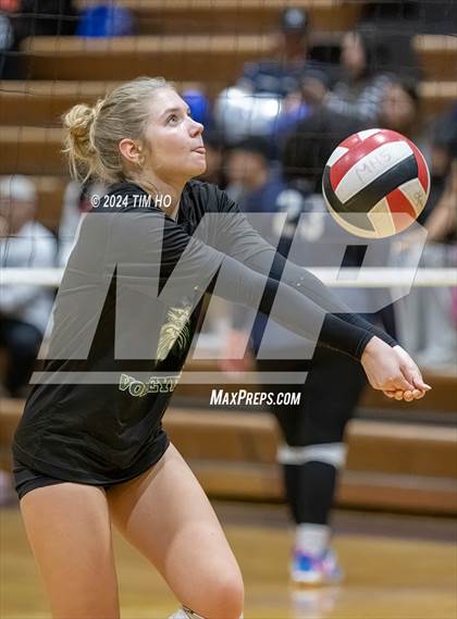Thumbnail 2 in Walter Johnson @ Magruder photogallery.