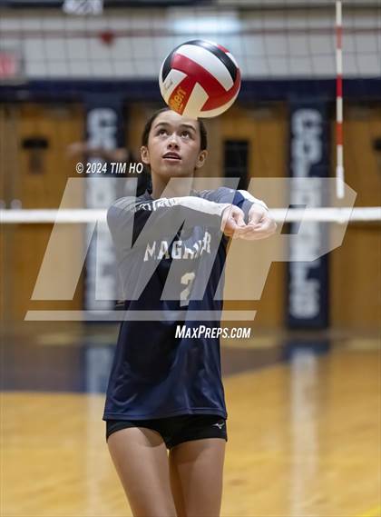 Thumbnail 2 in Walter Johnson @ Magruder photogallery.