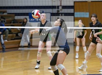 Thumbnail 2 in Walter Johnson @ Magruder photogallery.