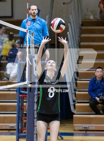 Thumbnail 3 in Walter Johnson @ Magruder photogallery.