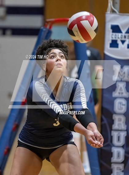 Thumbnail 1 in Walter Johnson @ Magruder photogallery.