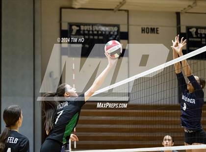 Thumbnail 2 in Walter Johnson @ Magruder photogallery.