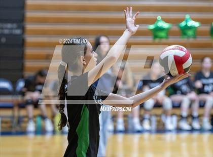 Thumbnail 1 in Walter Johnson @ Magruder photogallery.