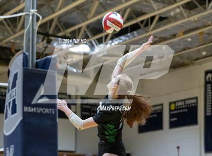 Thumbnail 3 in Walter Johnson @ Magruder photogallery.