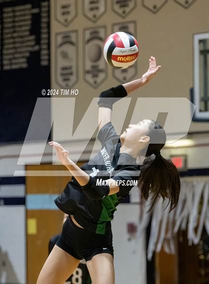 Thumbnail 1 in Walter Johnson @ Magruder photogallery.