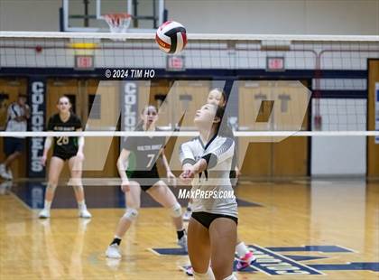 Thumbnail 3 in Walter Johnson @ Magruder photogallery.