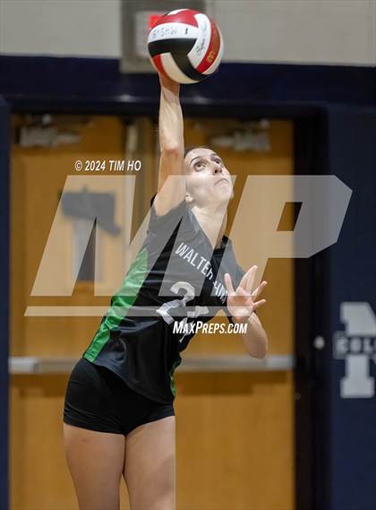 Thumbnail 2 in Walter Johnson @ Magruder photogallery.