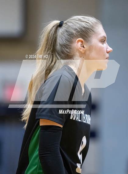 Thumbnail 1 in Walter Johnson @ Magruder photogallery.